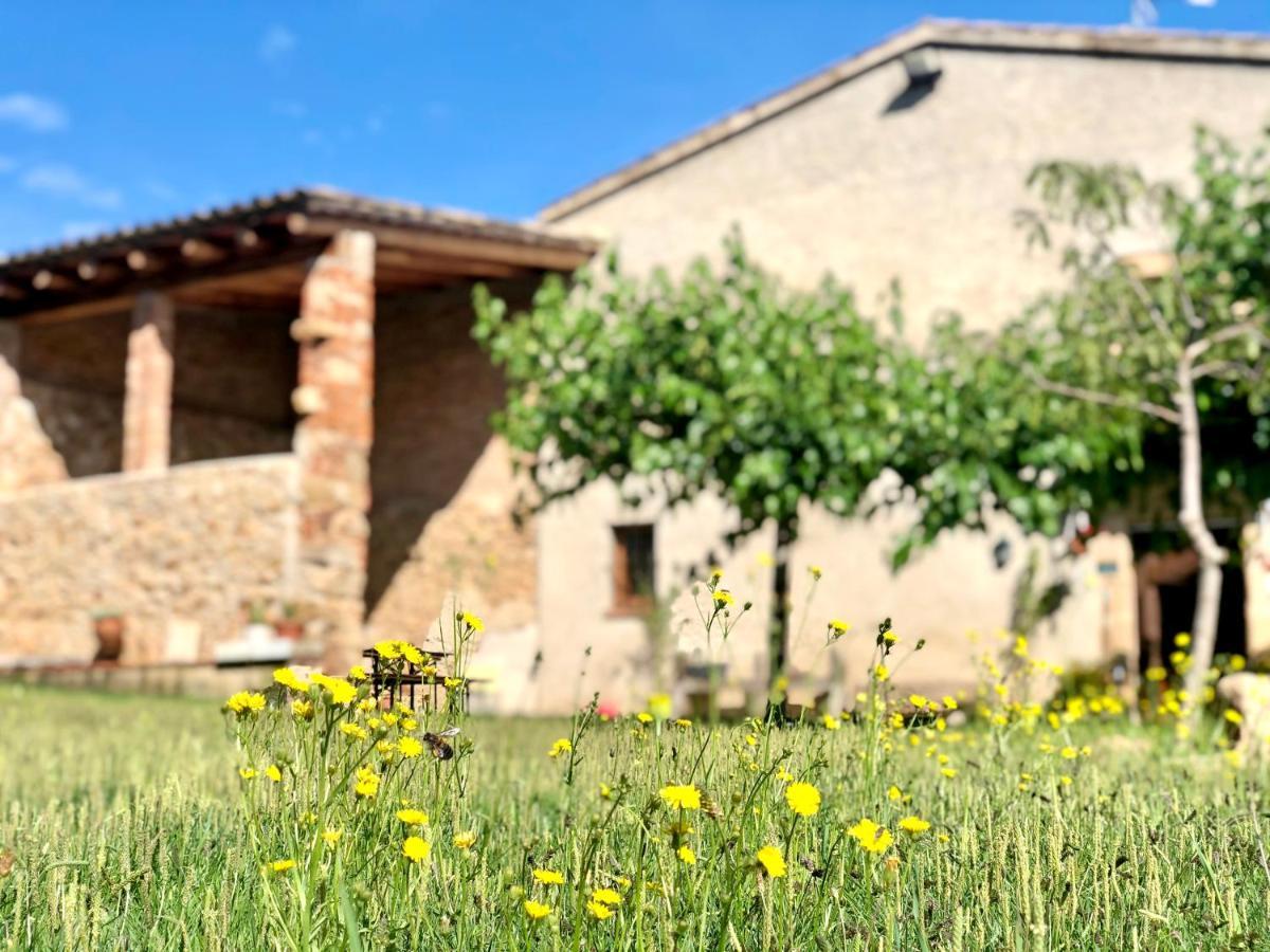 Casa Rural Can Miquel - En Pleno Bosque Y Cerca De La Playa - Increibles Rutas Btt Santa Coloma de Farners Kültér fotó
