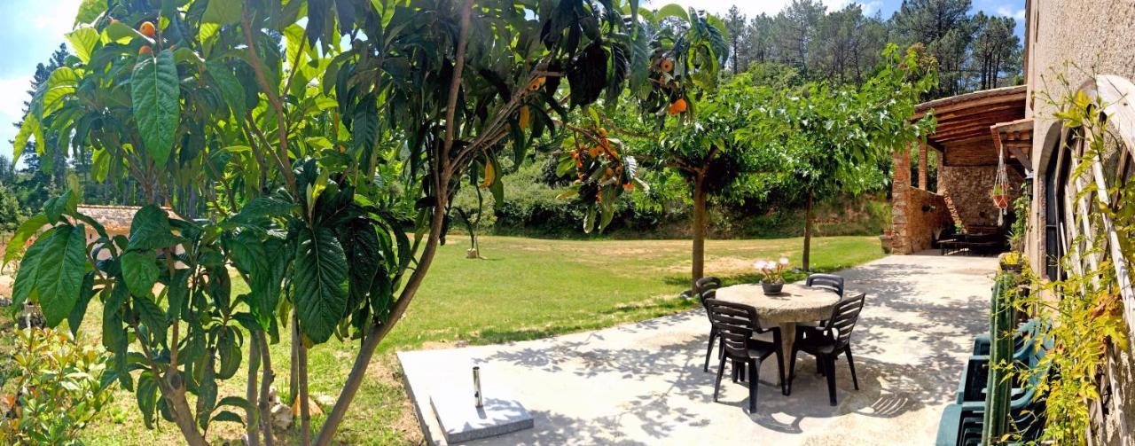 Casa Rural Can Miquel - En Pleno Bosque Y Cerca De La Playa - Increibles Rutas Btt Santa Coloma de Farners Kültér fotó
