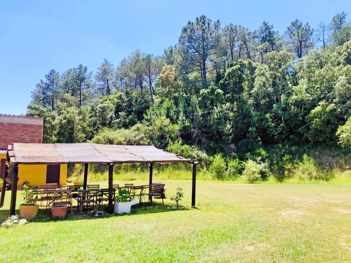 Casa Rural Can Miquel - En Pleno Bosque Y Cerca De La Playa - Increibles Rutas Btt Santa Coloma de Farners Kültér fotó