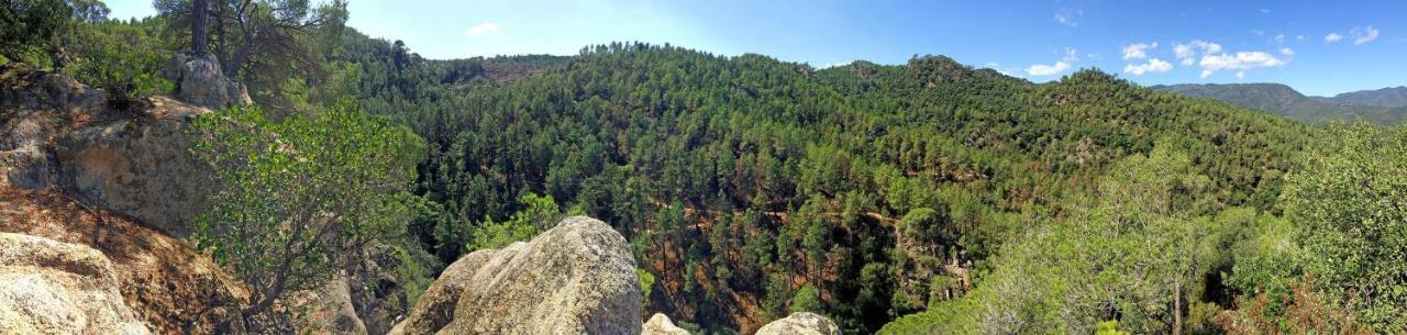 Casa Rural Can Miquel - En Pleno Bosque Y Cerca De La Playa - Increibles Rutas Btt Santa Coloma de Farners Kültér fotó