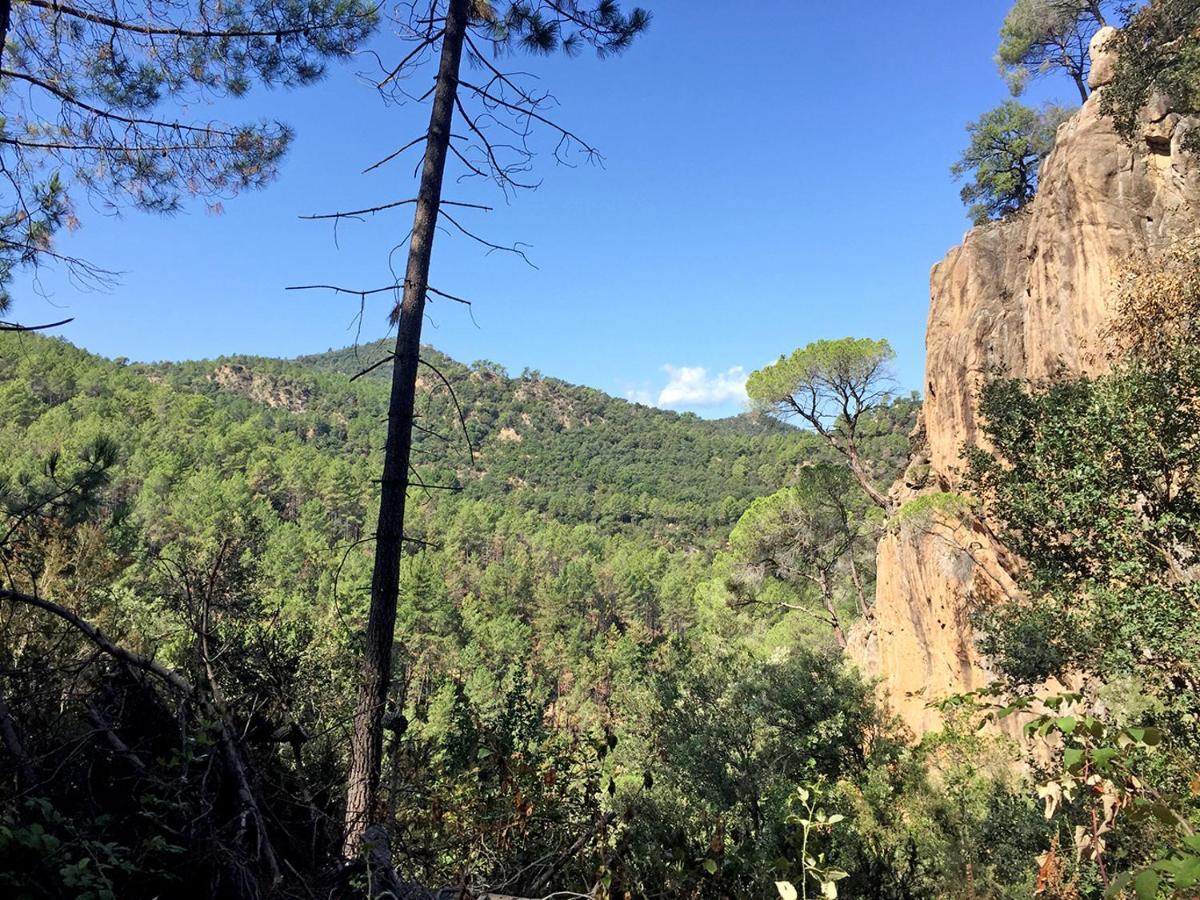 Casa Rural Can Miquel - En Pleno Bosque Y Cerca De La Playa - Increibles Rutas Btt Santa Coloma de Farners Kültér fotó