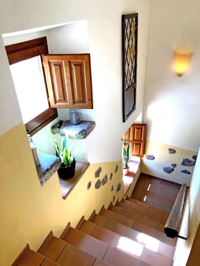 Casa Rural Can Miquel - En Pleno Bosque Y Cerca De La Playa - Increibles Rutas Btt Santa Coloma de Farners Kültér fotó
