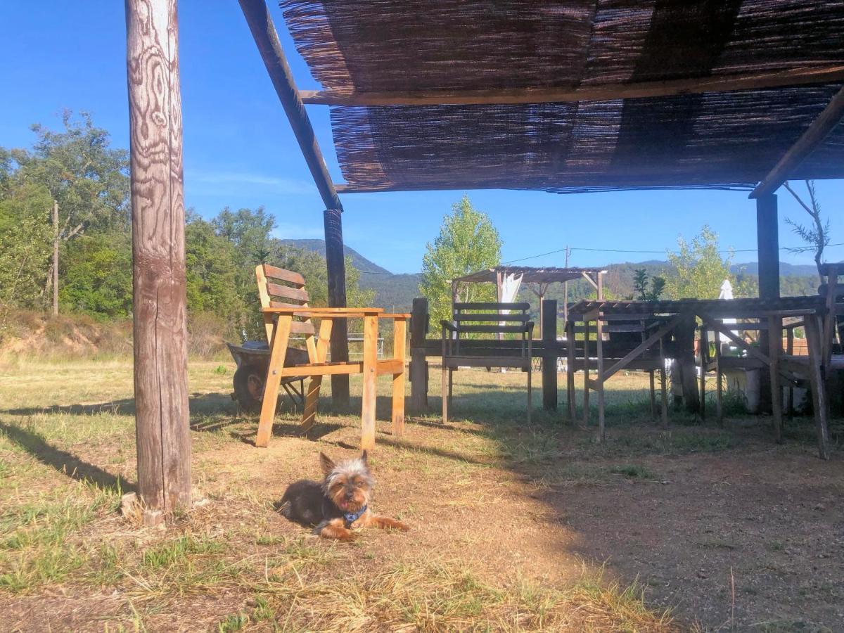 Casa Rural Can Miquel - En Pleno Bosque Y Cerca De La Playa - Increibles Rutas Btt Santa Coloma de Farners Kültér fotó