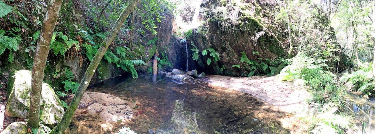 Casa Rural Can Miquel - En Pleno Bosque Y Cerca De La Playa - Increibles Rutas Btt Santa Coloma de Farners Kültér fotó