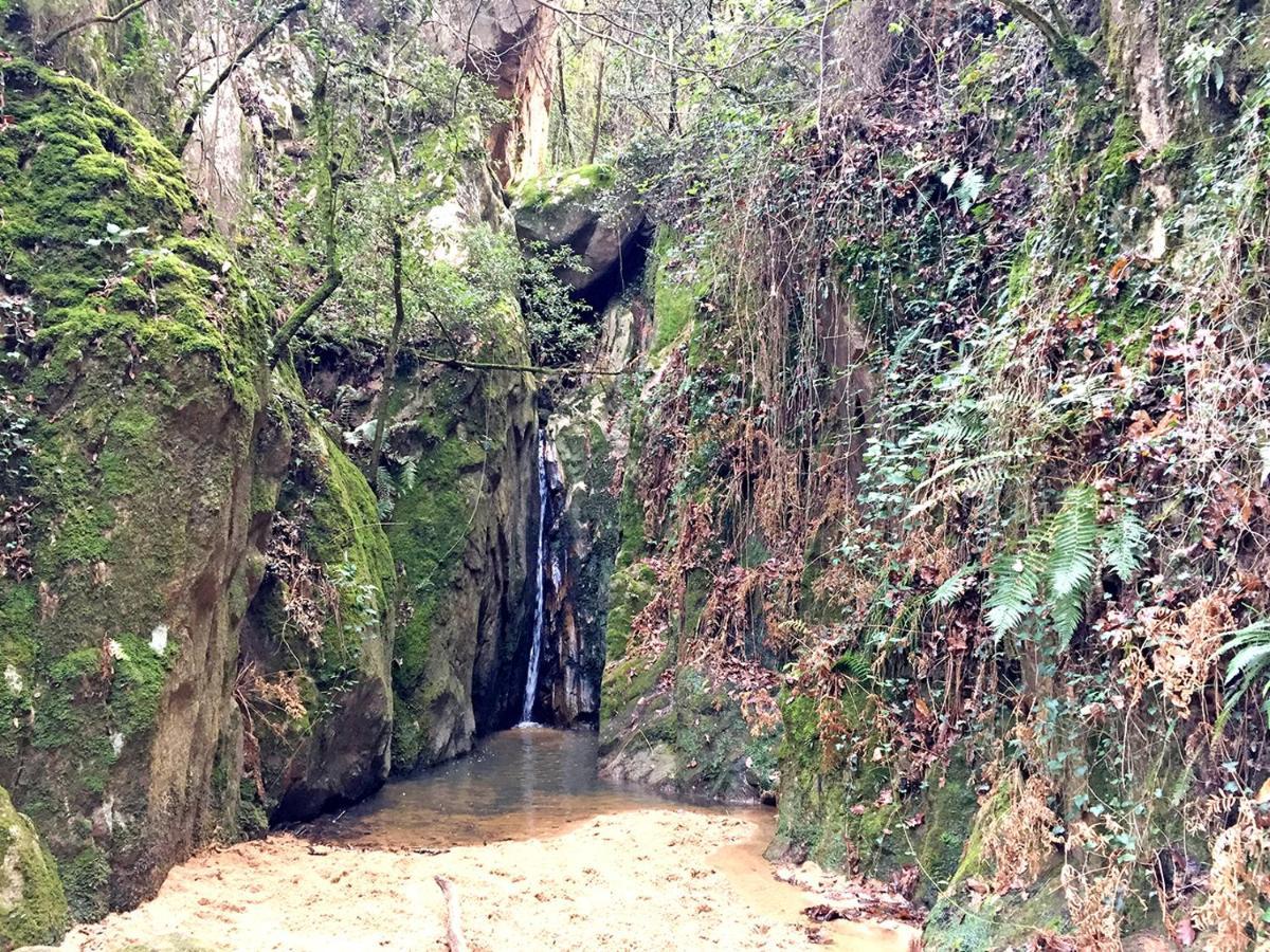 Casa Rural Can Miquel - En Pleno Bosque Y Cerca De La Playa - Increibles Rutas Btt Santa Coloma de Farners Kültér fotó